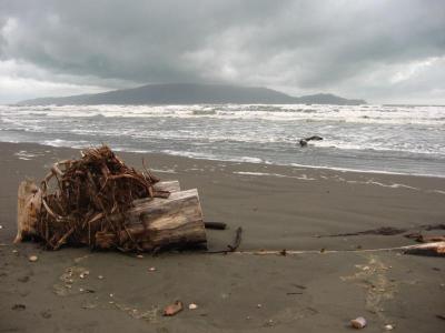 Capiti Coast mit Island Capiti Coast mit Island